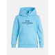 Peak Performance Jr Original Hood 