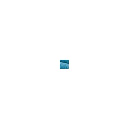 3224_G79635110