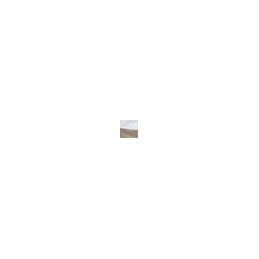 3244_G79822030