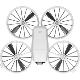 DJI Flip