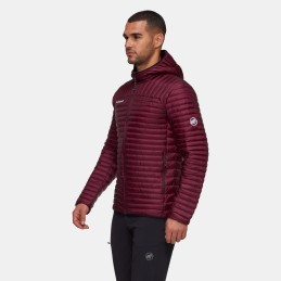 3934_1013-03720-3800